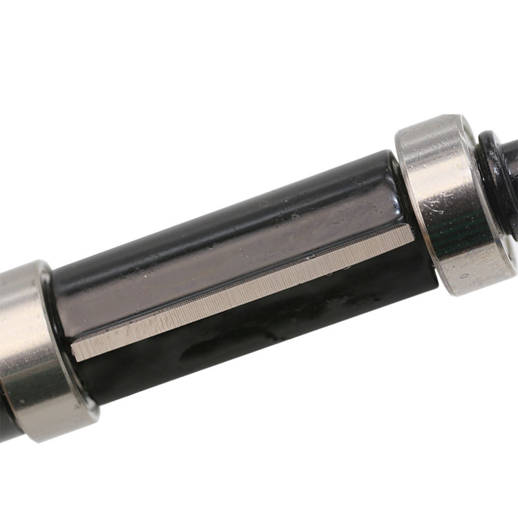 Double Bearing