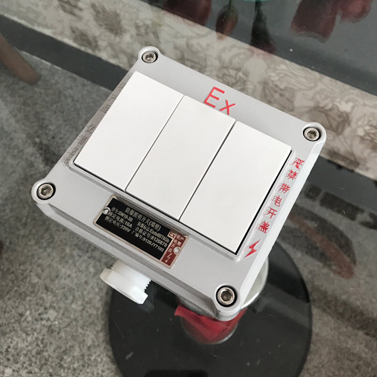 供应正品SWB-III防爆墙壁开关 防爆三联开关暗装铸铝SWB-10A/220V