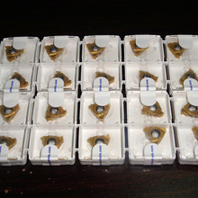 SECOɽߵƬWNMG080408-MF4 TM2000