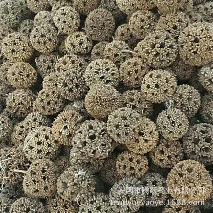 Lulu Tong Dried Sweetgum Fruit Whole Form Traditional Chinese Herb for Decoction and Herbal Use quality and texture