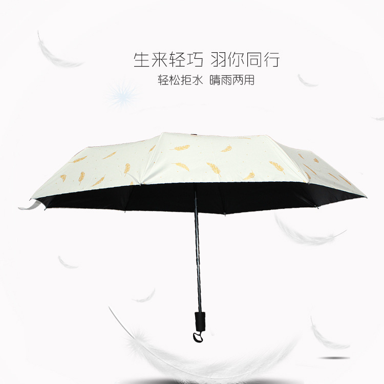 umbrella