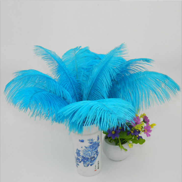 quality dyeing Ostrich Feather Ostrich feather Bleach Ostrich routine colour goods in stock supply 45-50