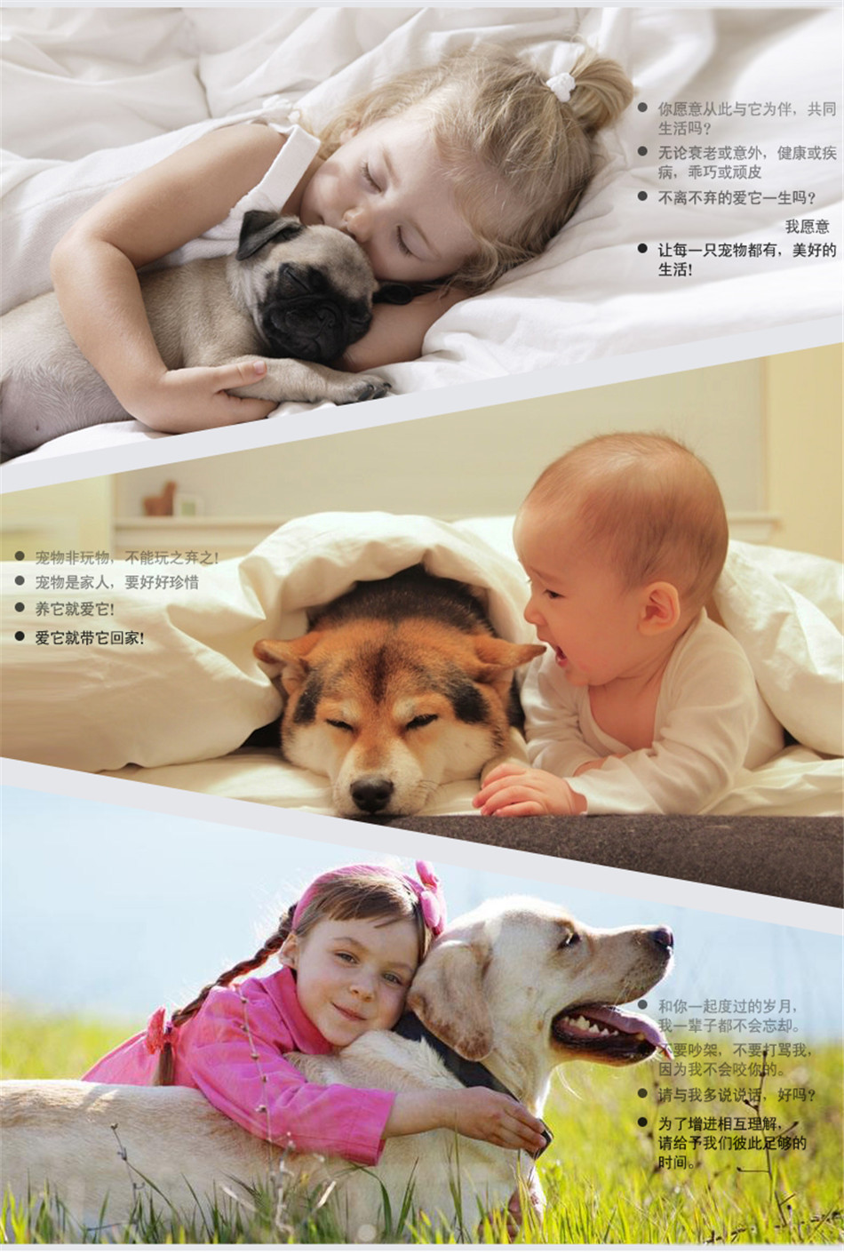 TB2toE2qwxlpuFjSszbXXcSVpXa_!!