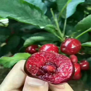 ���ϵ؅^����Ҙ���� ���������� ���������r��