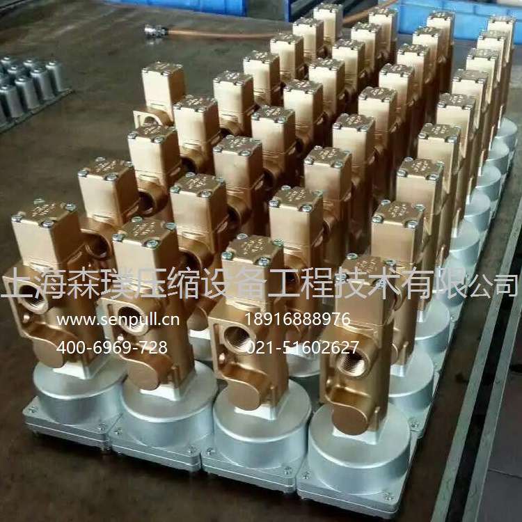 气动泄放阀2605701500 (2)