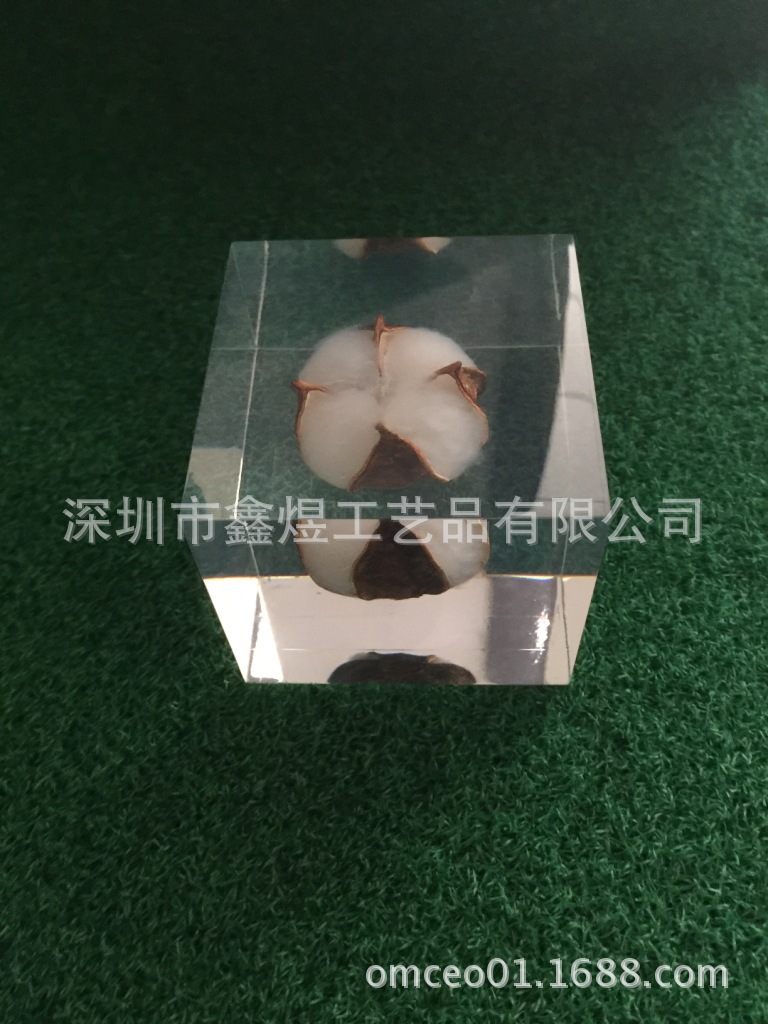 亚克力内埋棉花种子，水晶胶内藏棉花植物，内嵌