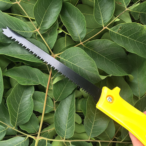 Chicken tail saw, hole digging saw, pruning saw, sharp greening garden jig saw, fruit tree