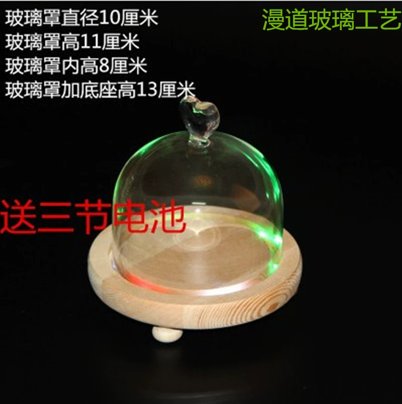 DIY Forever Life Flower Multicolor Lamp Base Glass Cover Fresh-keeping Flower Cover Cake Cover Mini Landscape Glass Vase Manufacturer