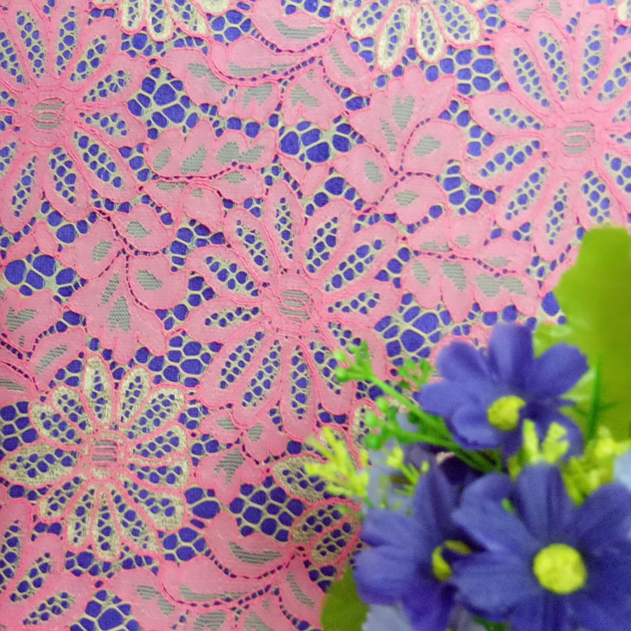 MYXJ_20170619091523_fast