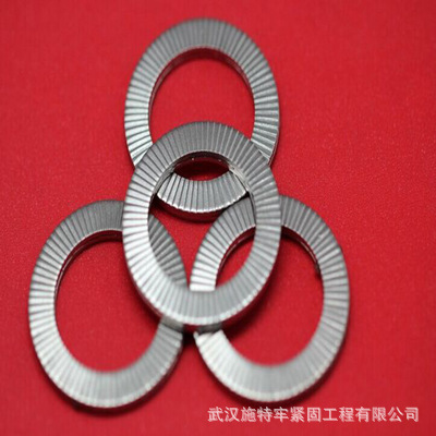 DIN9250S 不锈钢 防松垫片现货供应