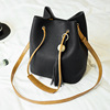 The new winter Dongguk door fringed bag portable Shoulder Messenger female parent bun trend