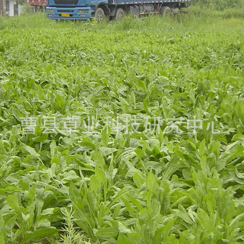 1160466857_1941745036