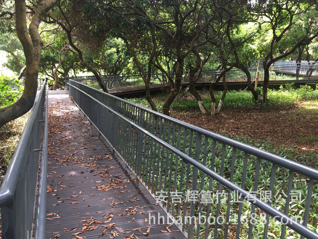 微信图片_20170627092146