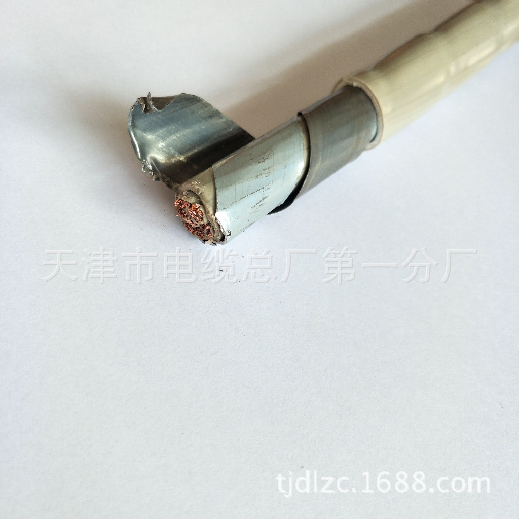 SYV22 75-2-2*8视频电缆双屏蔽铠装多芯视频线