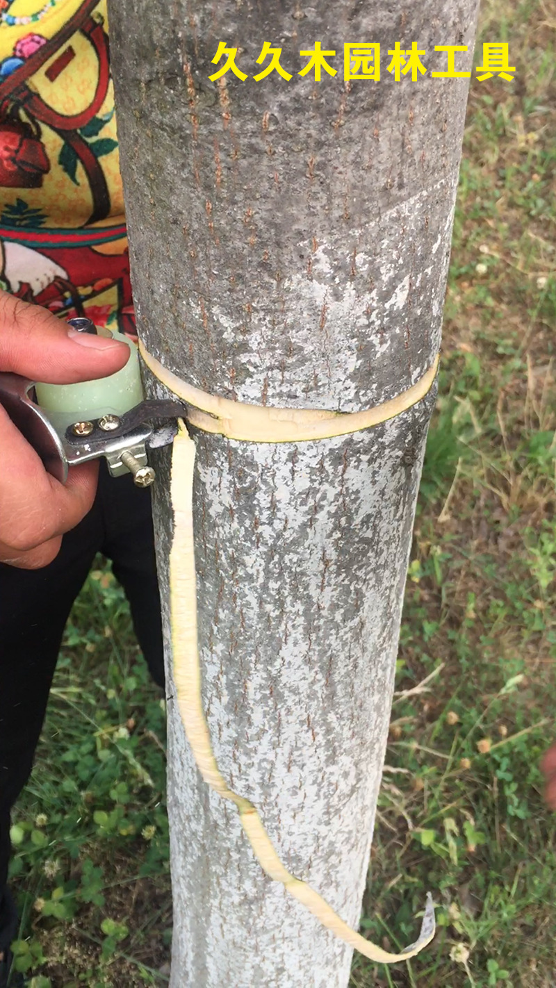 久久木 新型快速省力 环剥树皮双片环剥刀 环剥剪 树皮环剥刀-阿里巴巴