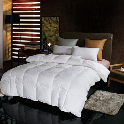 Down quilt 95 White Goose Down Eiderdowns Winter quilt The quilt core thickening Double keep warm quality goods Single student Dorm winter