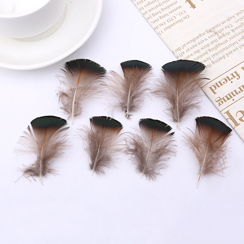 锦鸡绿片羽绒野鸡羽毛diy饰品服装工艺品舞台配饰装饰现货批发