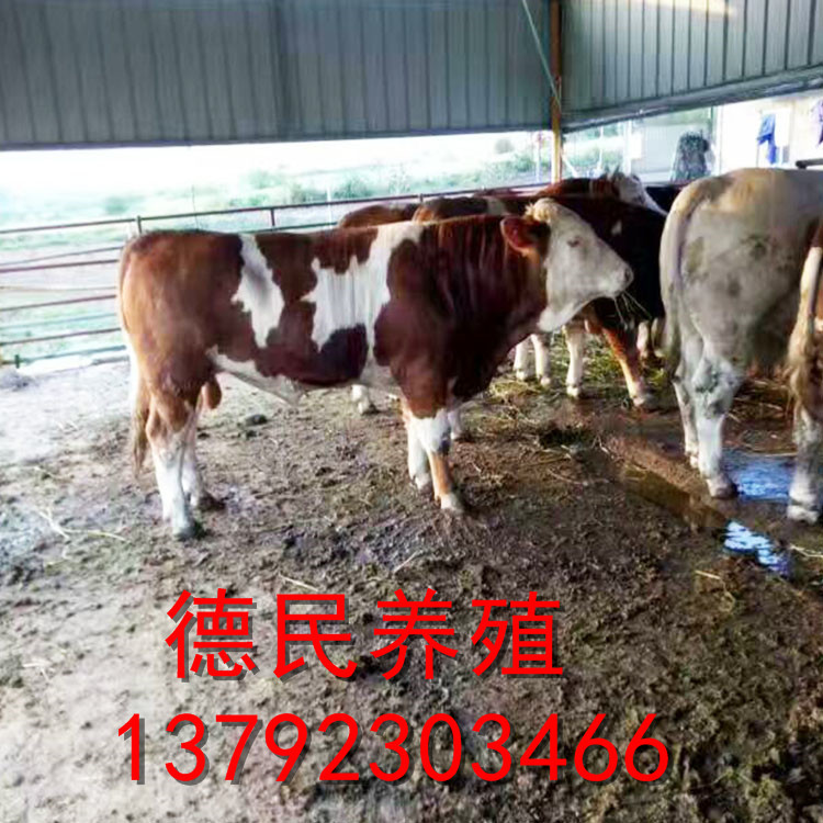 主_0012_微信图片_20170515082828