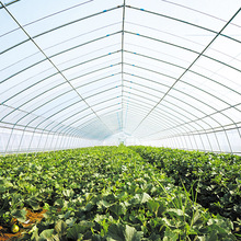 廠家批發蔬菜溫室連棟蔬菜大棚 農用陽光溫室植物種植蔬菜大棚