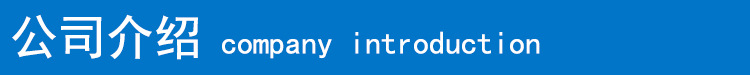 公司介绍