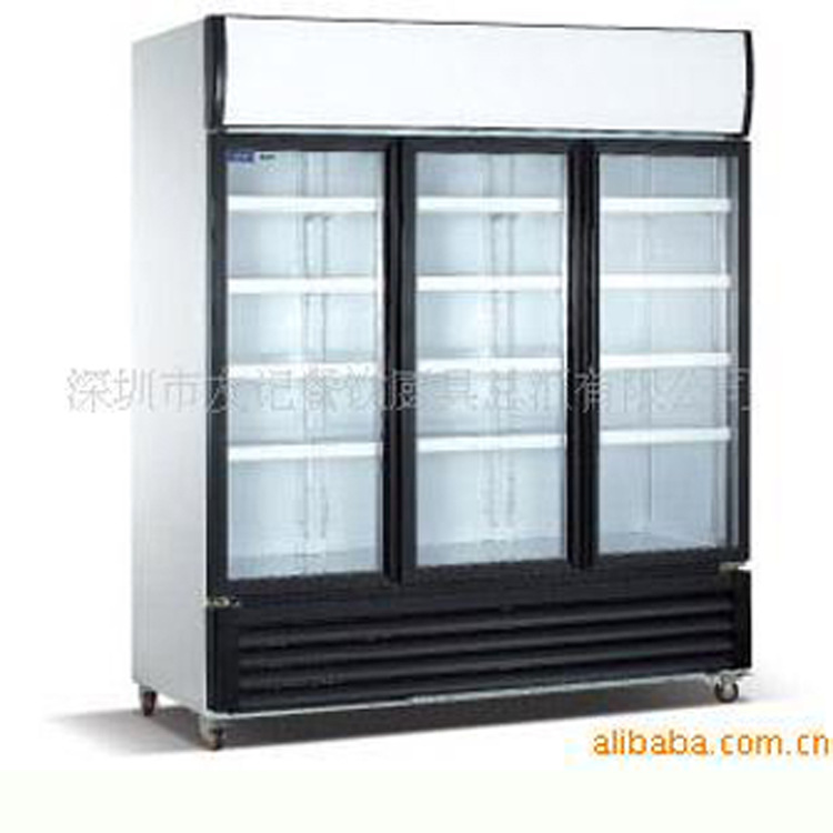 友记厨具对门开展示柜  掩门式冷冻陈列柜 冷藏柜 G1000L2F批发