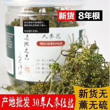 供应吉林人参花 东北人参大花蕾 瓶装50克长白山优质大参花茶批发