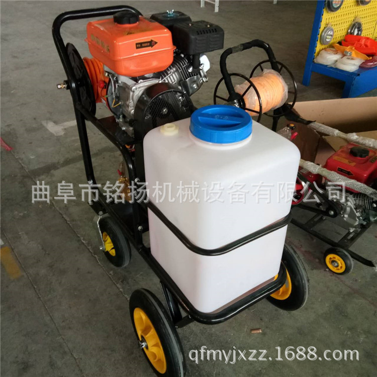 汉中手持式喷雾打药机厂家脉冲式热力烟雾打药机