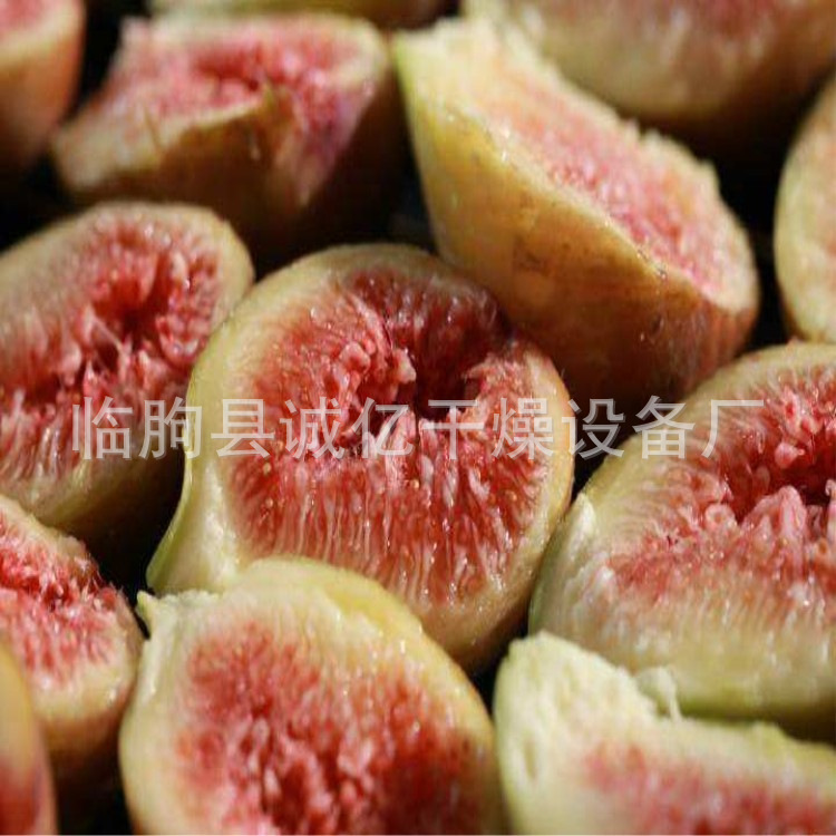 产地货源无花果烘干机 龙眼烘干机 热风循环烘箱 家用苹果干燥机