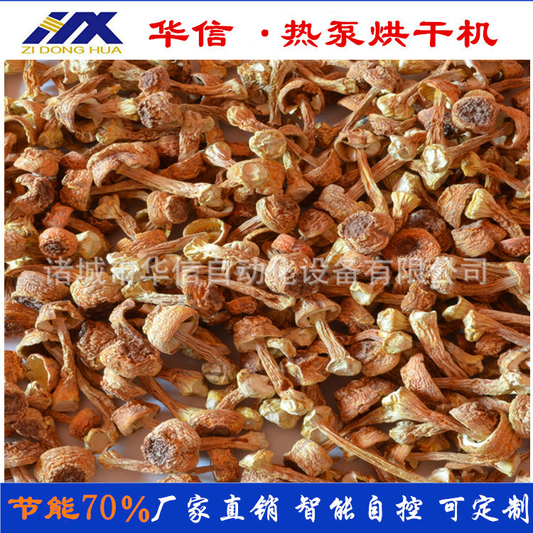 云南野生菌烘干机设备蘑菇片猴头菇烘干机烘干房 食用菌干燥机