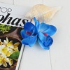 Beach hairgrip, hair accessory, hairpins, beach style, orchid, flowered, wholesale