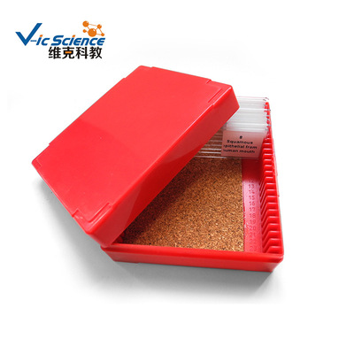 厂家直供 25片玻片盒  动植物切片盒  多种规格实验室器材标本盒