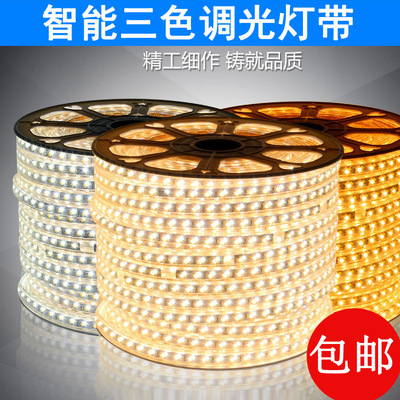 led三色調光燈帶高亮客廳吊頂變色燈條七彩裝飾220V5730雙色燈帶