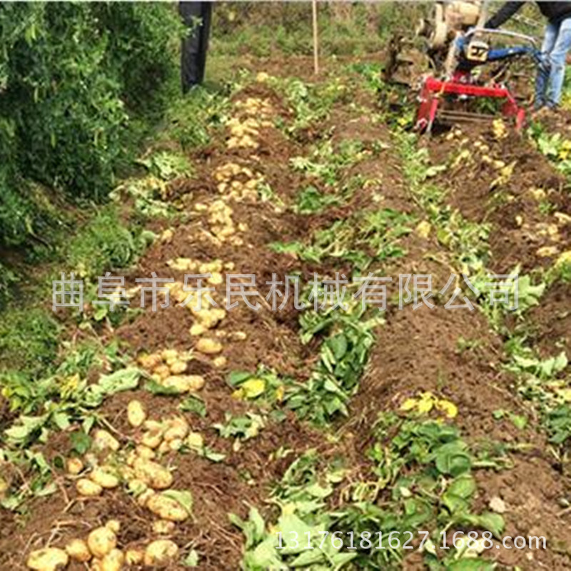 0_luxuan_0004_20150418150645_副