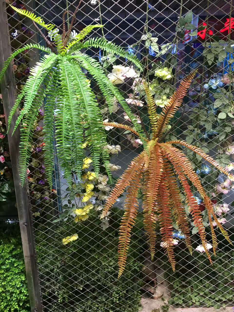 微信图片_20170525160936