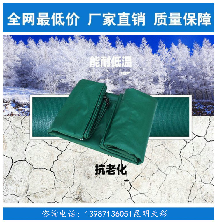 3881931310_1573185742_副本