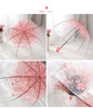 Transparent umbrella cherry blossom umbrella long handle transparent girl goddess Korean retro candy color small fresh Apollo princess