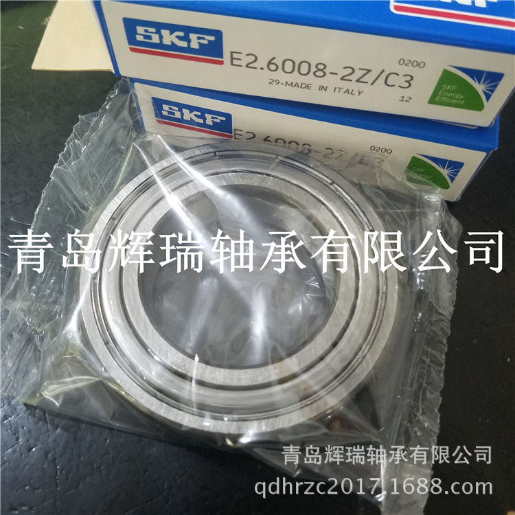 SKFE2-6008-2Z-C3 (2)