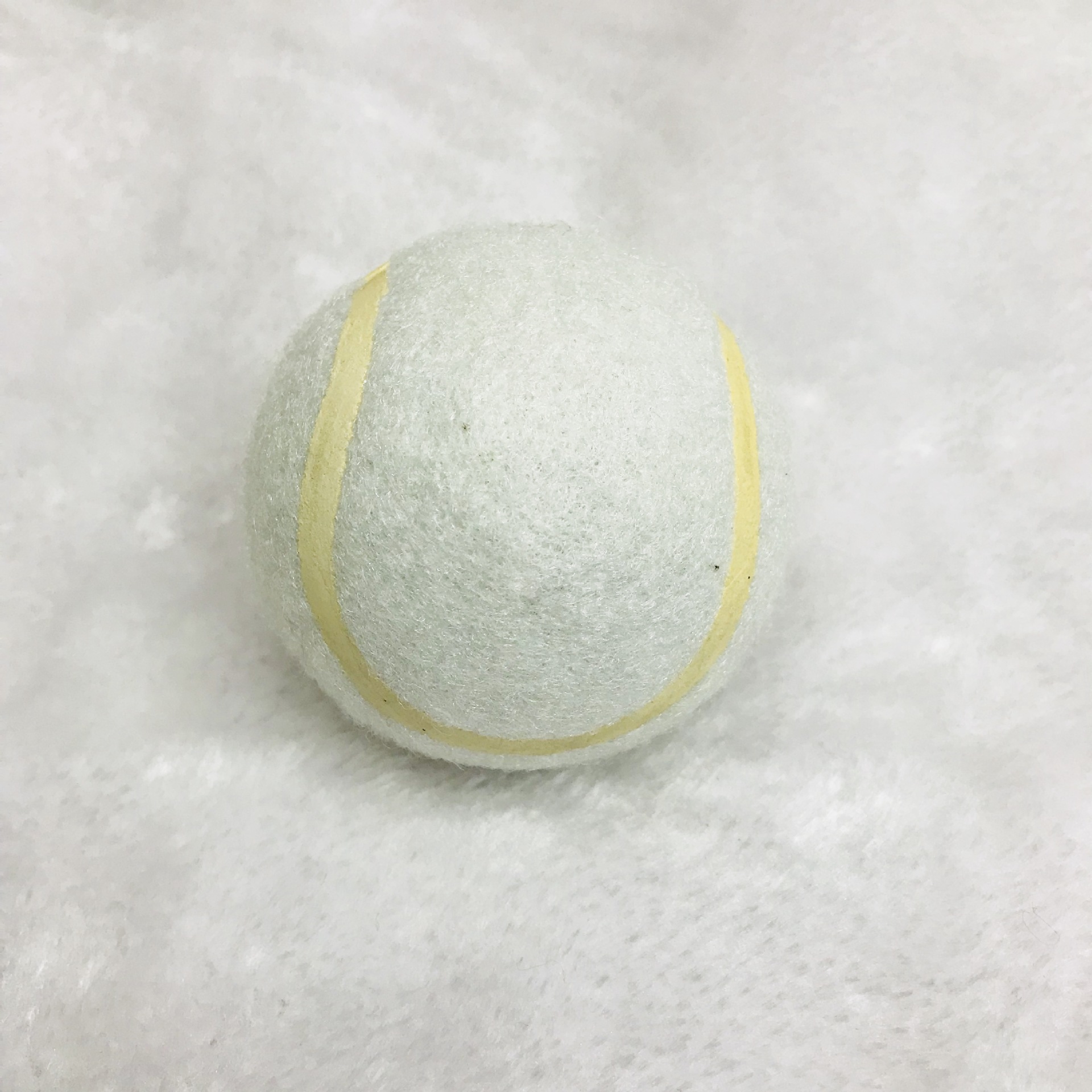 IMG_2369(20171215-130605)