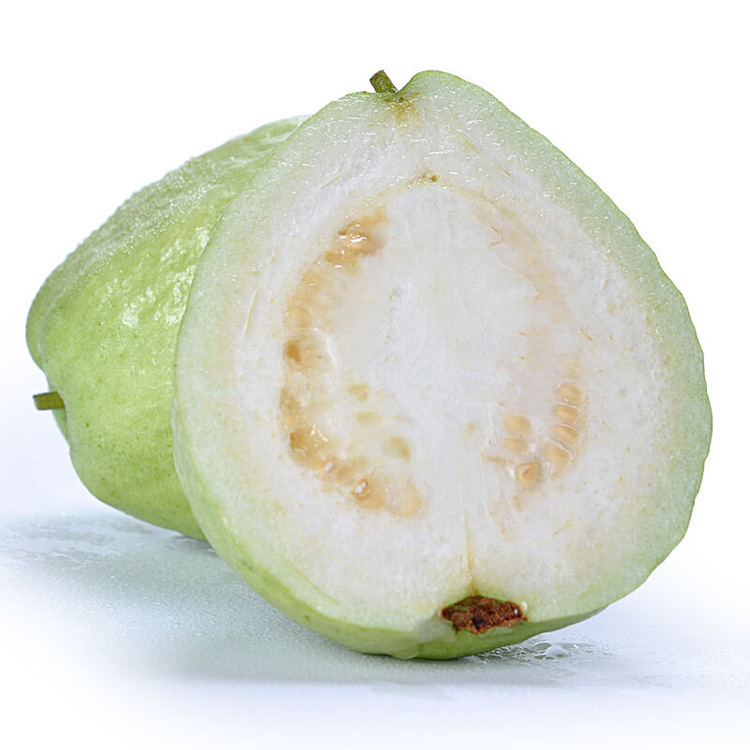 农家白心芭乐现摘番石榴水果芭乐|ms