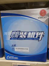 612600061997ˮò͙CWD10WD12WP10lәCɽ