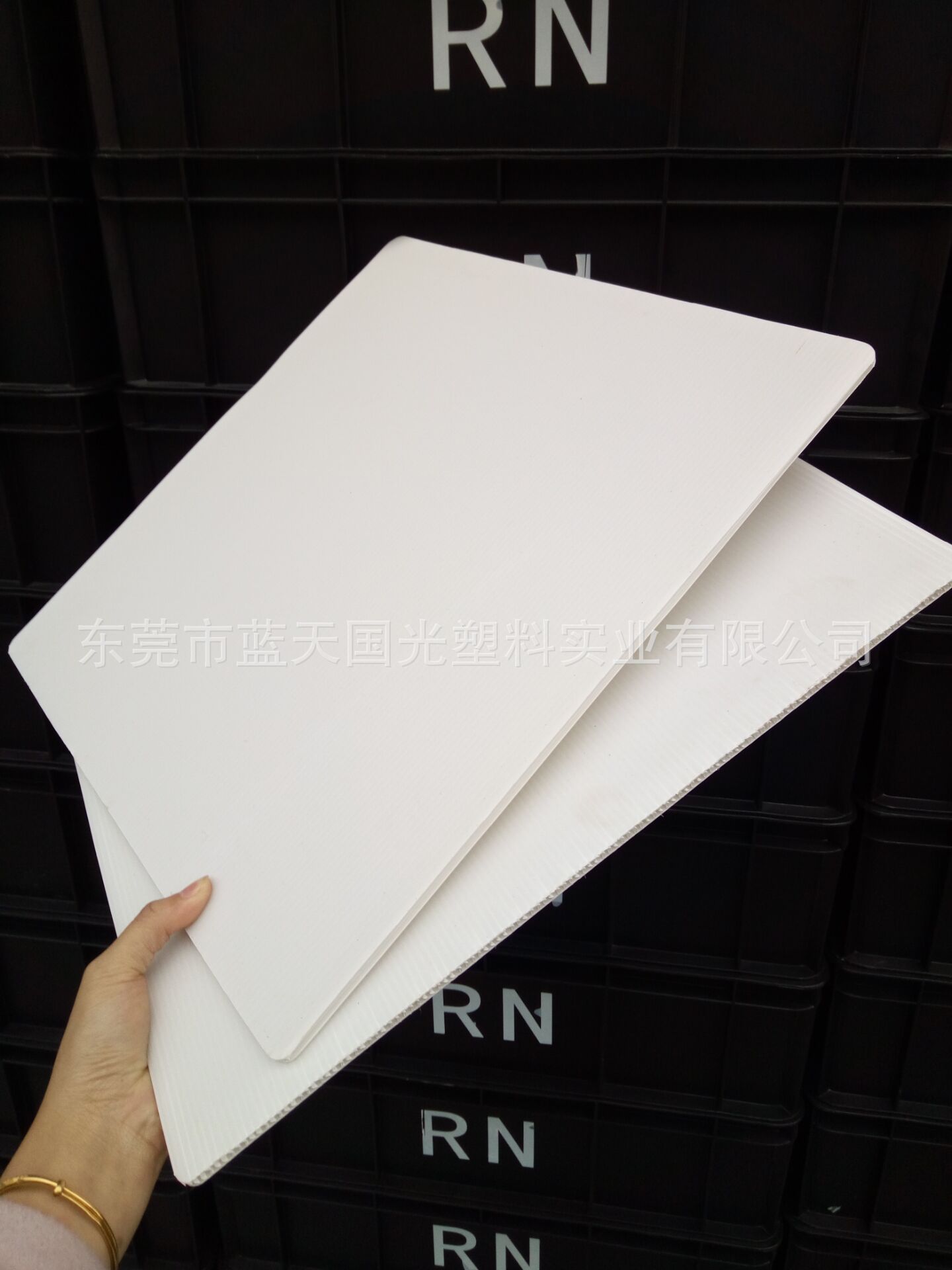 供应广西南宁优质PP真空板 塑料中空板 塑料防潮防蛀隔板