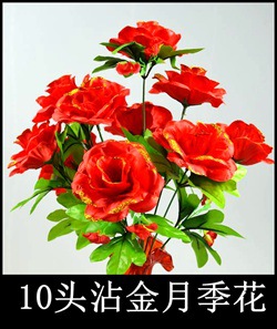 10头沾金月季花