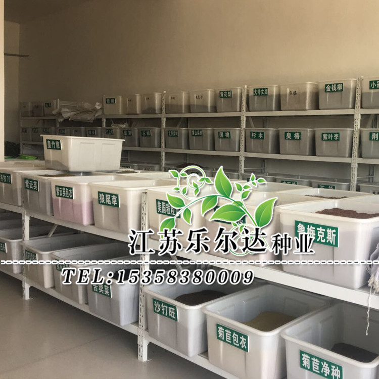 3636694509_246424275