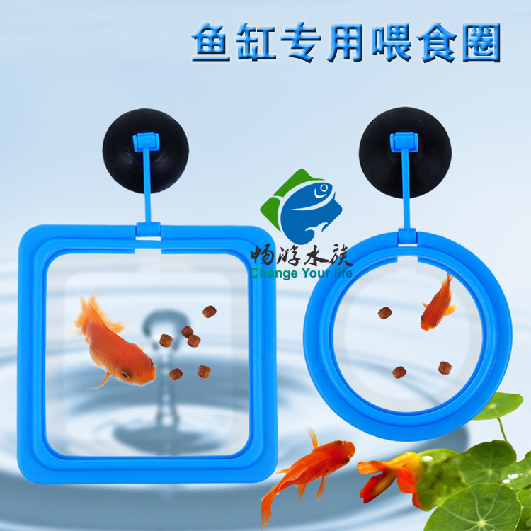 喂食圈 鱼缸喂食器 水族箱投食器投食圈 小型鱼缸喂食漂浮圈|ru