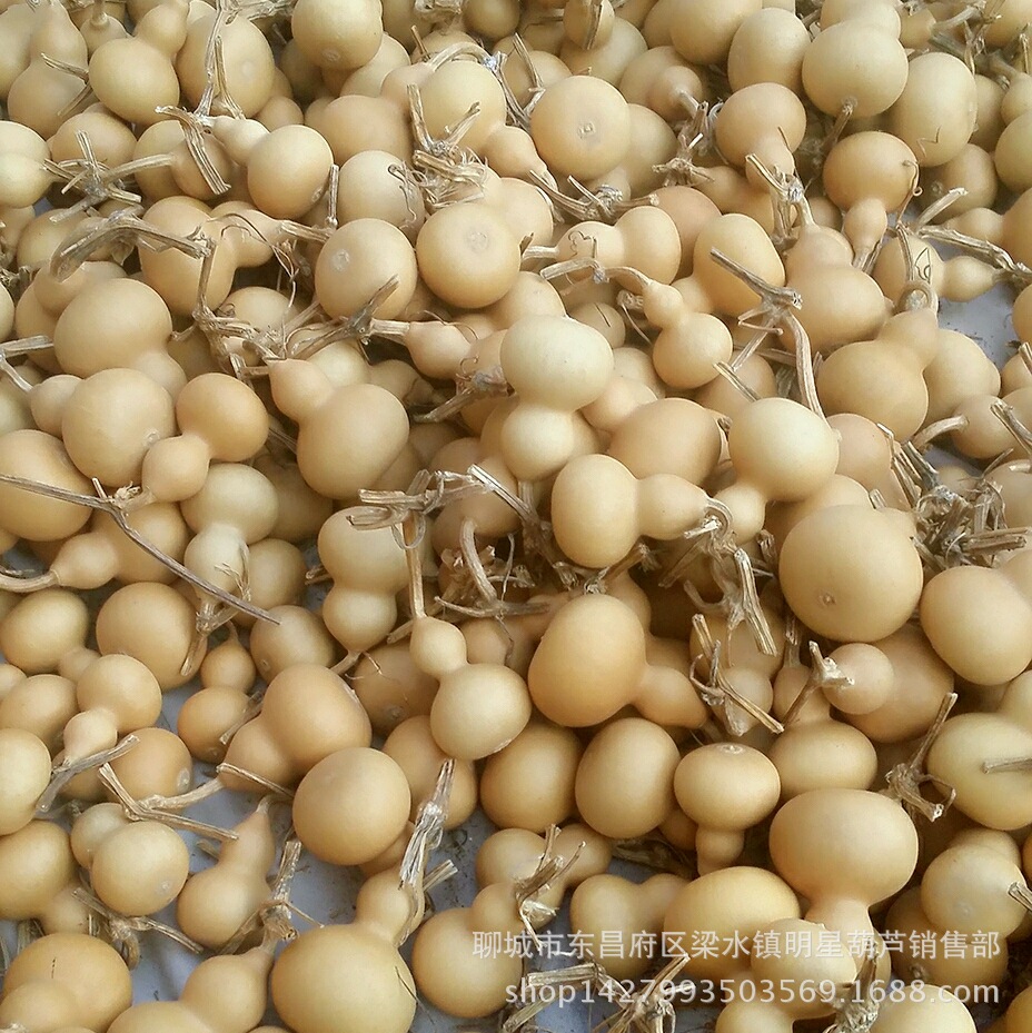 microMsg.1488530997186