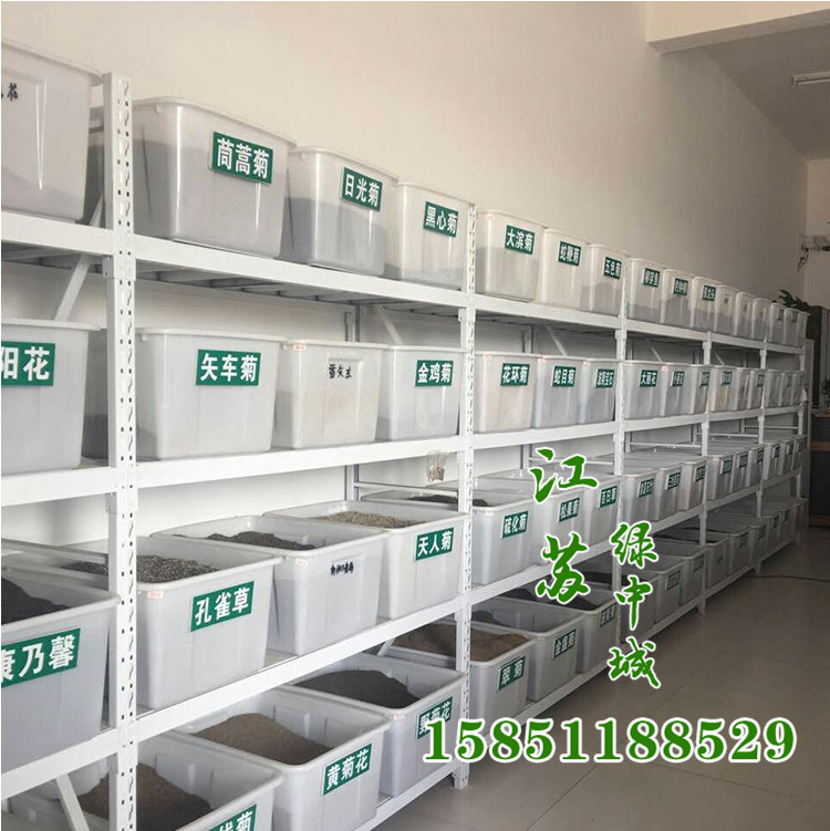 QQ截图20170601120818_副本