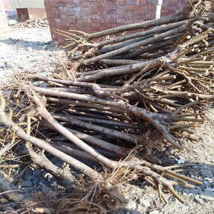 ռ���Ҙ����������u �]�޽ӵı����Ҙ��� �幫�������Ҙ���