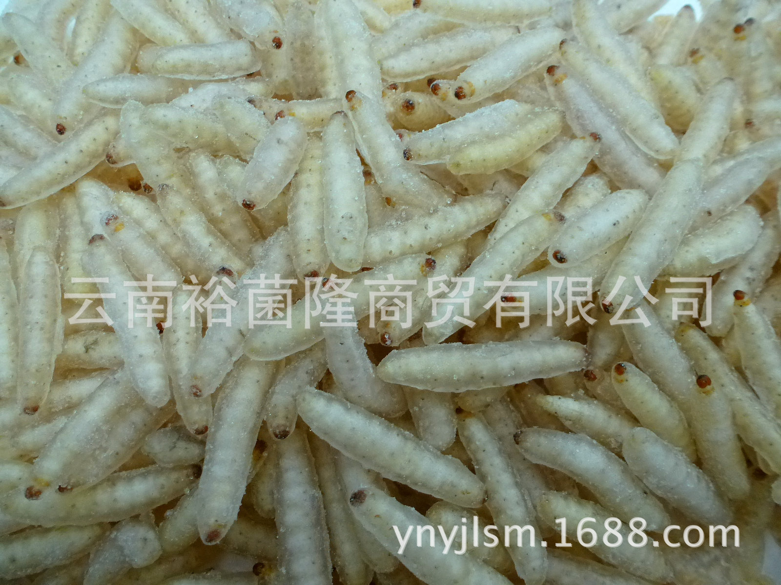 P1100255