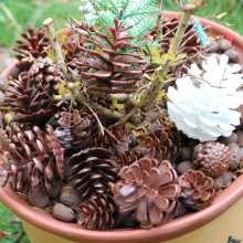 ���������ɹ� ���ɰ�� �}�Q���b�Ʒ�����ˇƷDIY���2-6cm