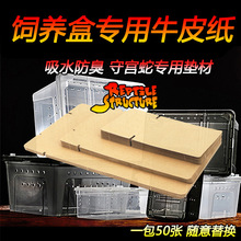 Reptile Structure饲养盒垫材牛皮纸50张一袋爬虫垫纸守宫玩具蛇